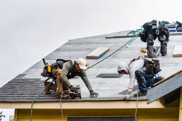 Professional Gutter Installation technician working in Bishop, GA